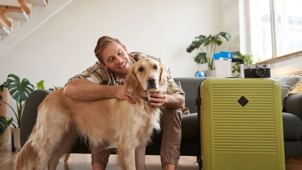 Vacaciones 2027 en Brasil: qué trámites hay que realizar para viajar con mascotas