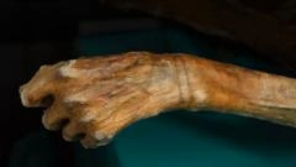 Momias congeladas y rutas vikingas: los secretos que está revelando el derretimiento de los hielos