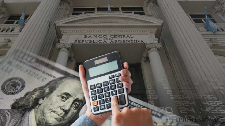 Ahorristas le "sacan" al BCRA u$s2.500 millones y calientan motores en la previa electoral