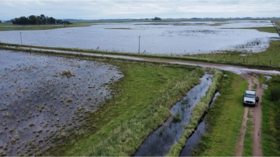 Emergencia agropecuaria por inundaciones: el Gobierno la declaró para Nueve de Julio y parte de Necochea