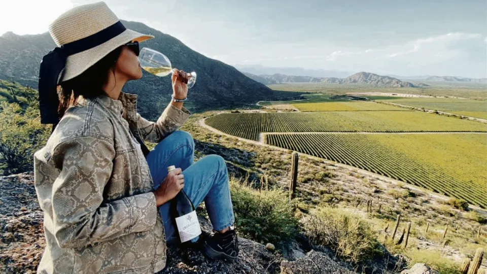 Reconocen a Huaco, en La Rioja, como nueva Indicación Geográfica para vinos