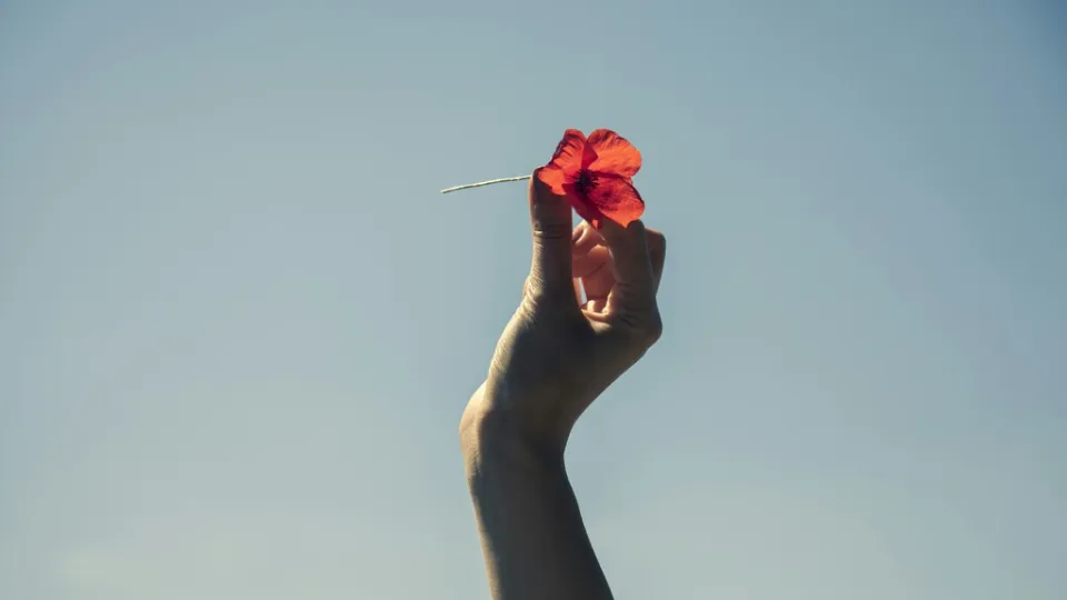 ¿Podemos "enamorarnos" de una IA? La respuesta científica es más intrigante de lo que solemos aceptar