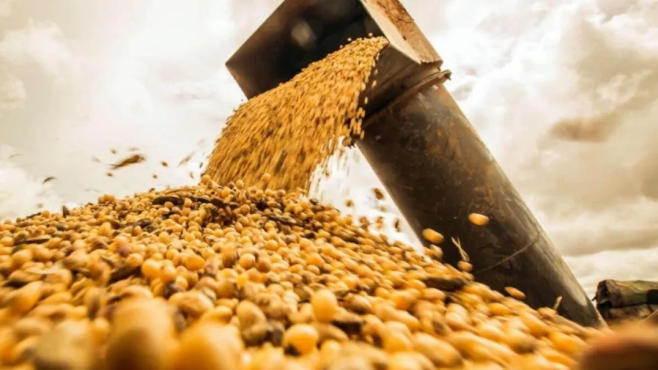 La soja cae a su nivel más bajo en dos meses ante las expectativas de mayores exportaciones de Brasil a China
