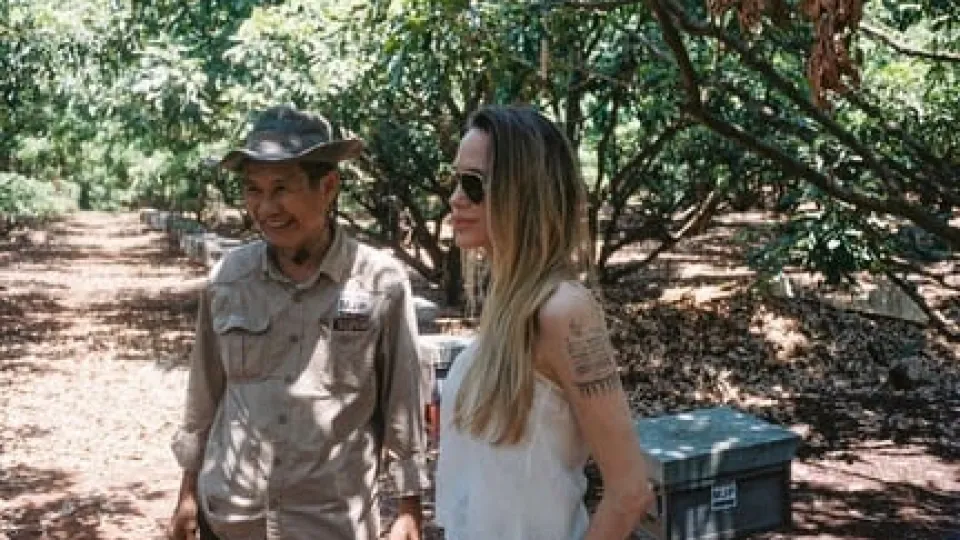 El proyecto ambiental de Angelina Jolie con el que protege a 200 especies hace 23 años