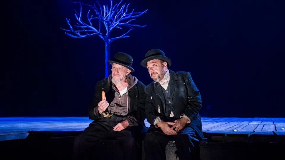 Esperando a Godot: una notable versión de uno de los textos más importantes del teatro
