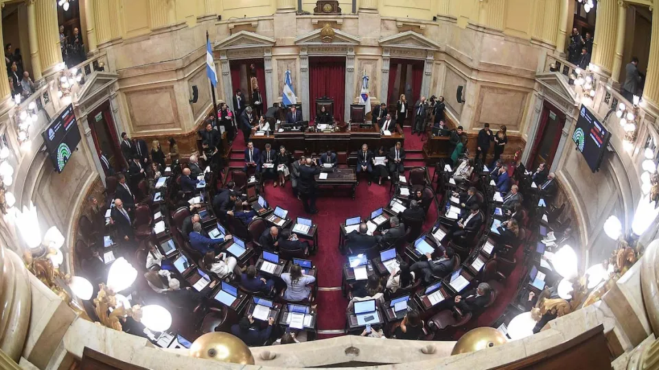 Ley de Salud Mental: el Senado aprobó la reforma por 42 a 21 y pasa a Diputados