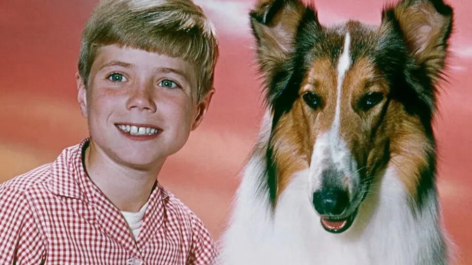 Por querer ahorrarse el sueldo del dueño de Lassie, este estudio de Hollywood acabó perdiendo una franquicia millonaria