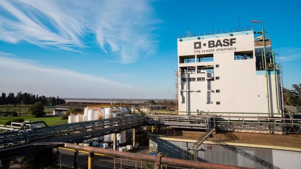 Por menor demanda, gigante alemán BASF achica su producción y abre retiros voluntarios
