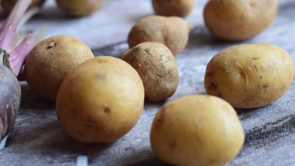 Hay un grupo de expertos que dicen que para tener las patatas frescas y sin brotes hay que guardarlas en la nevera, no en la despensa