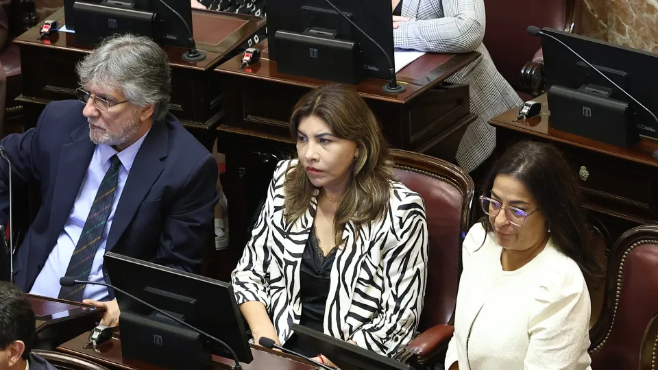 Senado: consiguió dictamen el proyecto y los cambios a la ley de salud mental quedaron un paso más cerca del recinto