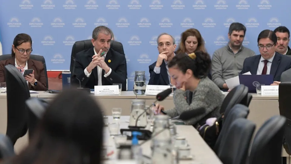 Castagneto y Leone casi se van a las manos en la comisión de Presupuesto